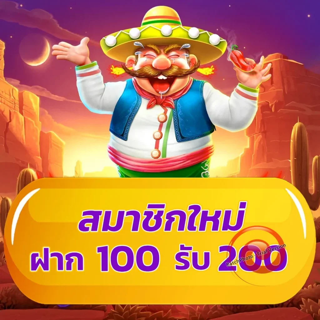 t6-thai ครบทุกค่าย